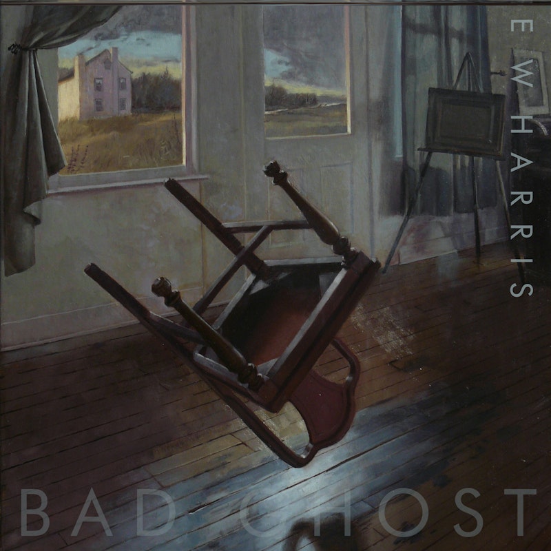 Bad Ghost by E.W. Harris - DistroKid