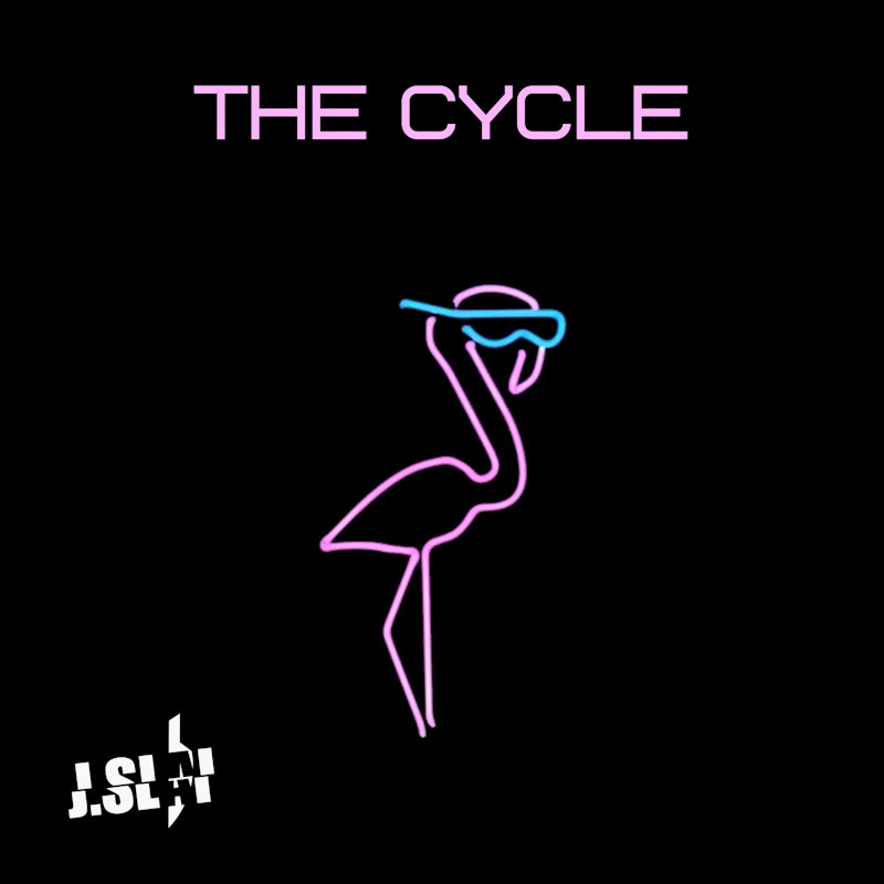 The Cycle Flamingo Song By J Slai Distrokid