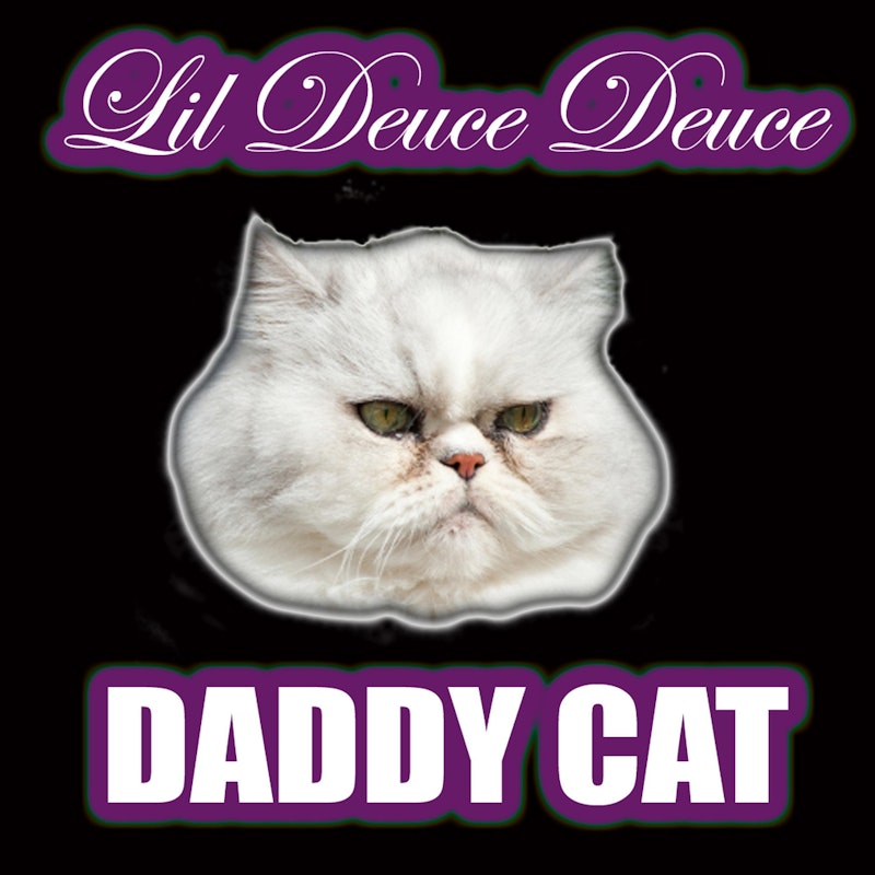Cat daddy