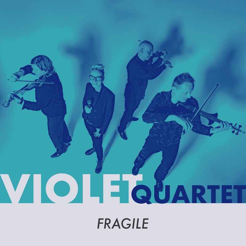 violet quartet - fragile